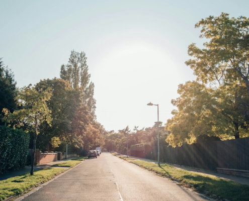 Gray concrete road between green trees during daytime